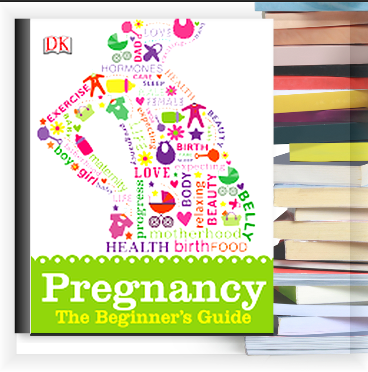pregnancy the beginner's guide