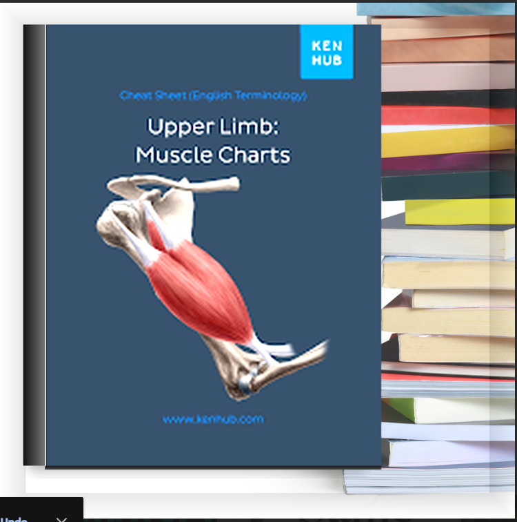 Upper Limb: Muscle Charts – eBook PDF