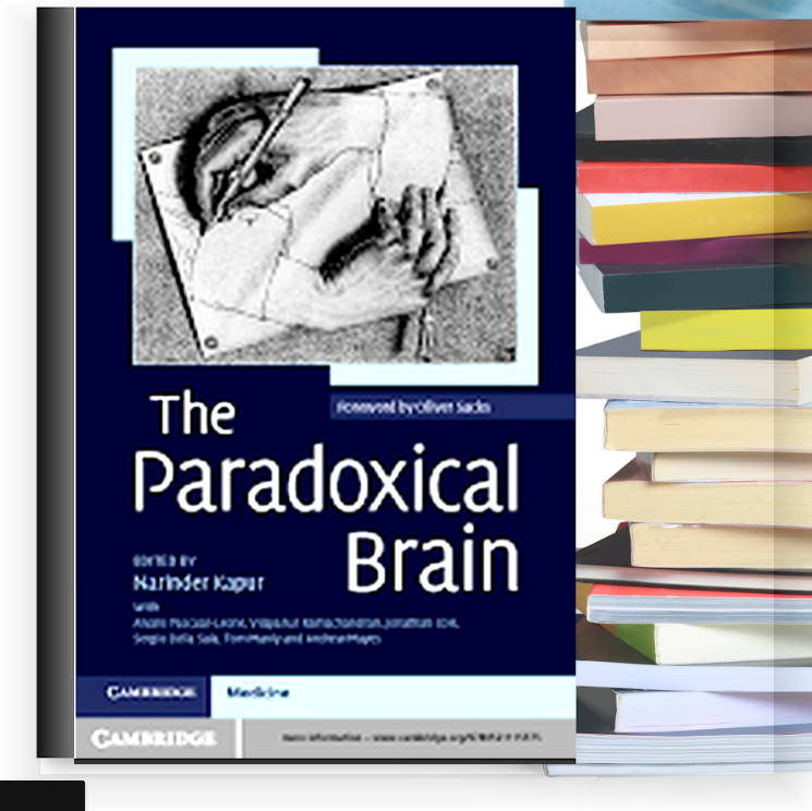 The Paradoxical Brain – eBook PDF
