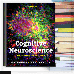 Cognitive Neuroscience | Memahami Otak dan Fungsi Kognitif