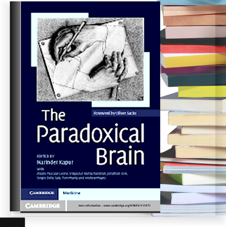 The Paradoxical Brain – eBook PDF