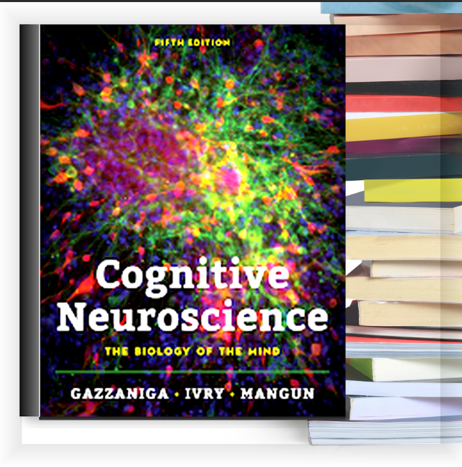 Cognitive Neuroscience – eBook PDF