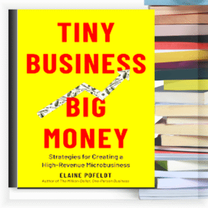 Tiny Business, Big Money – eBook PDF