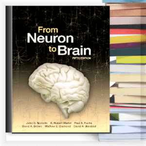 From Neuron to Brain – eBook PDF