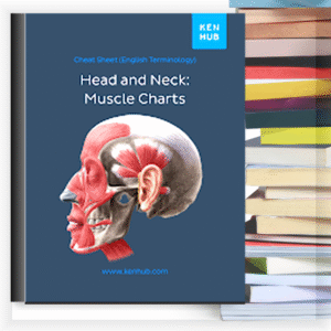 Head and Neck Muscle Charts – Buku PDF